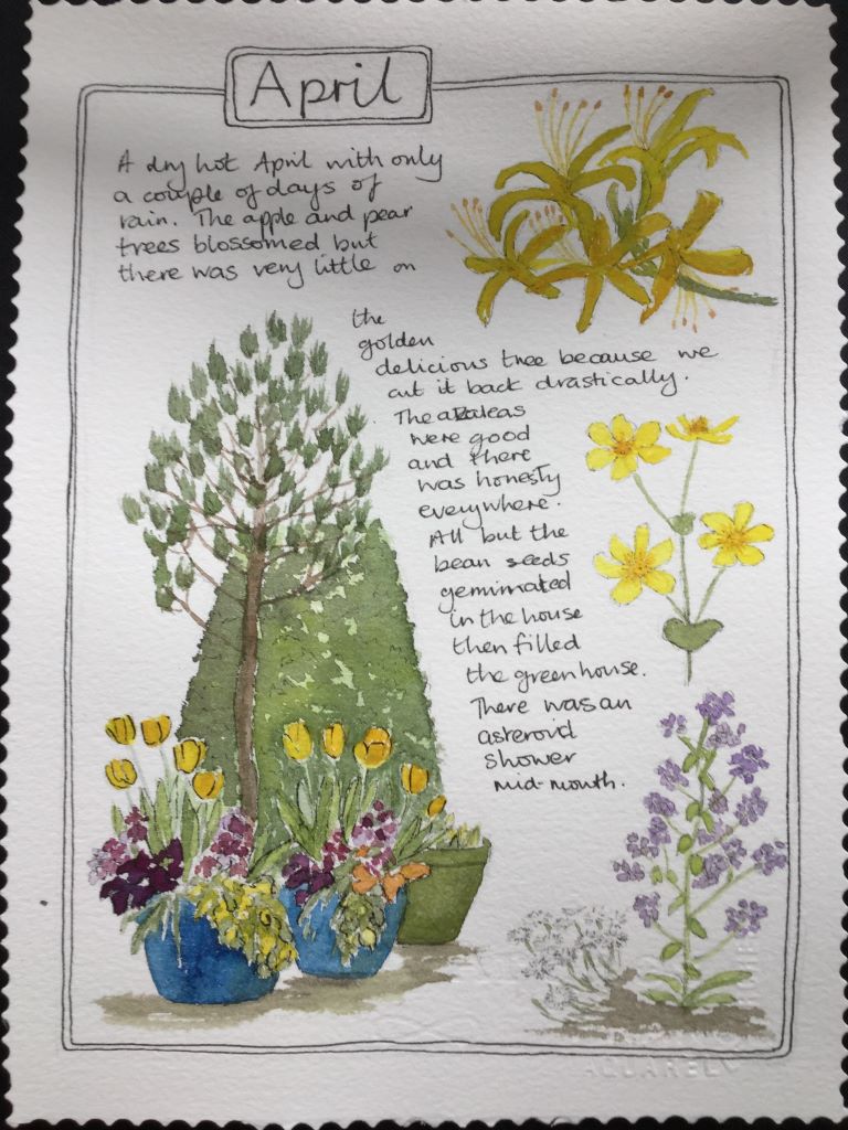 My Garden in in April by Karen Morton