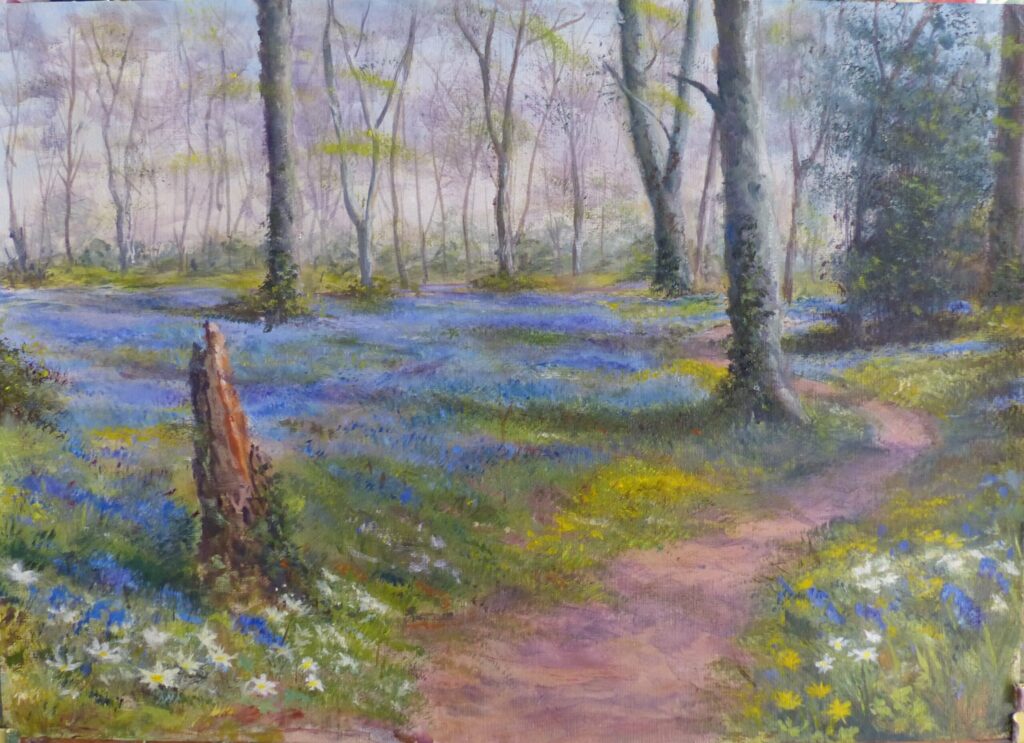 Bluebell Wood by B Humphreys