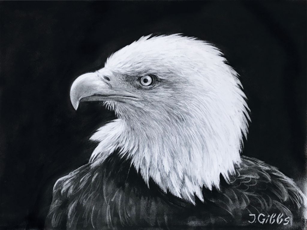 Eagle 2 by Jenny Gibbs