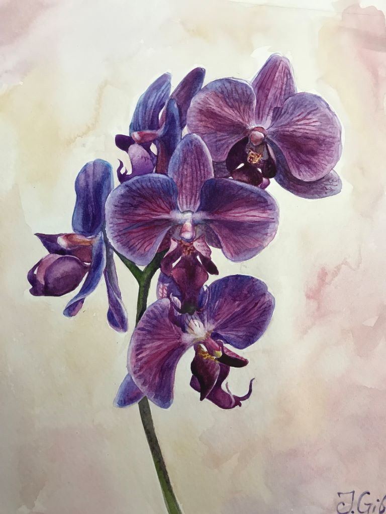 Purple orchids by Jenny Gibbs