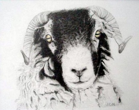 Swaledale Ram by John Hayston