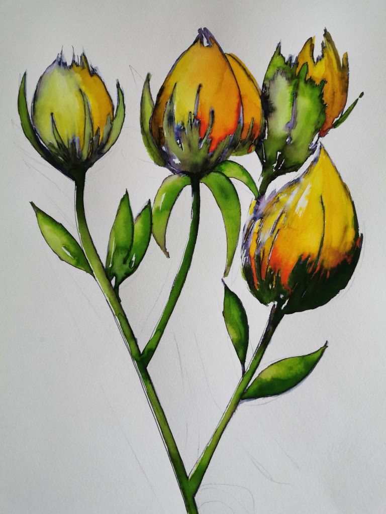 Tulips 2 by Mike Booth