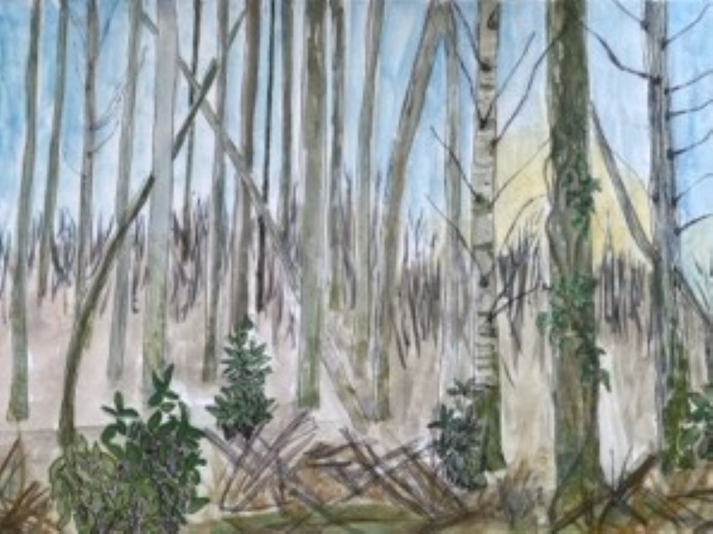 Woodland sketch by Ros croft