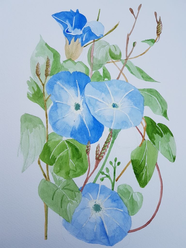 Blue flowers by Mike Booth
