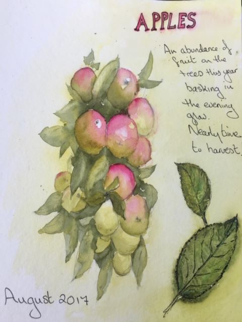 Sketchbook apples